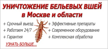 păduchi de pui cum să scapi de remedii chimice și populare, care metoda de a alege