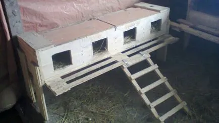 Coop de pui pentru găinile ouătoare, cu mâinile lor - cum să construiască în mod corespunzător! (Coops) Coop de pui pentru găinile ouătoare, cu mâinile lor - cum să construiască în mod corespunzător!