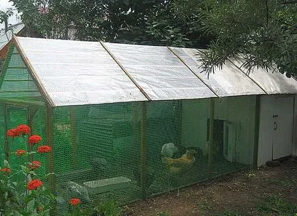 Coop de pui pentru găinile ouătoare, cu mâinile lor - cum să construiască în mod corespunzător! (Lor) Coop de pui pentru găinile ouătoare, cu mâinile lor - cum să construiască în mod corespunzător!