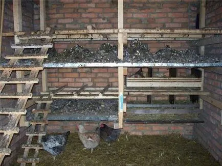 Coop de pui pentru găinile ouătoare, cu mâinile lor - cum să construiască în mod corespunzător! (straturi) Coop de pui pentru găinile ouătoare, cu mâinile lor - cum să construiască în mod corespunzător!