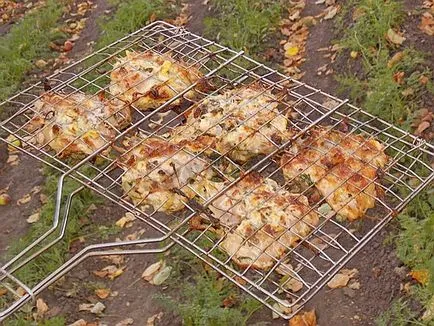 gratar de pui pe gratar