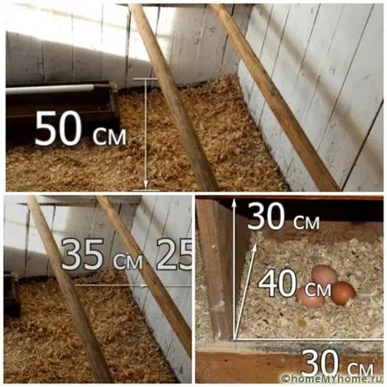 coteț de păsări cu propriile sale mâini pentru 10 pui - ghid pas cu pas