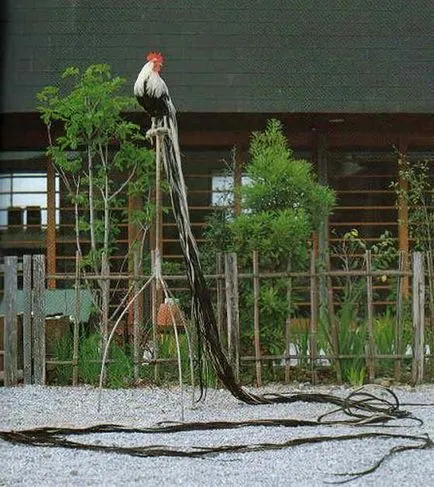 găini Phoenix