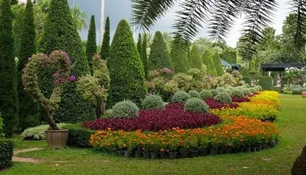 copaci Peisaj fotografie și arbuști în grădină, compozițiile arbori și arbuști (foto) Amenajare a teritoriului Fotografie de arbori și arbuști în grădină, compoziția de arbori și arbuști