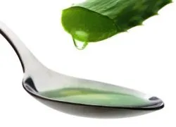 Medicina de aloe in casa (acasă) Medicina de aloe la domiciliu