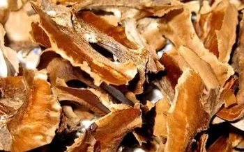 fibrom uterin tratamentul metodelor tradiționale
