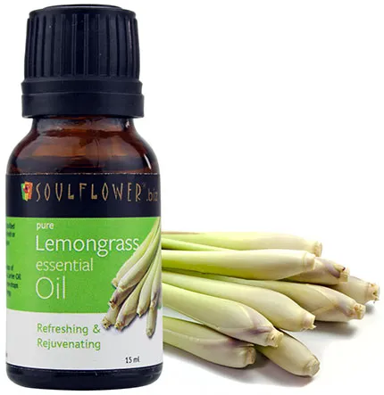 Lămâiță (iarba de lamaie) - cerere,, proprietăți medicinale utile, medicamente (BAD) capsule (lemongrass) Lămâiță (iarba de lamaie) - cerere,, proprietăți medicinale utile, medicamente (BAD) în capsule