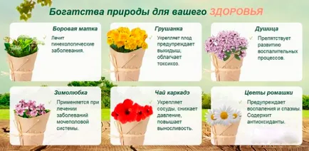 Infertilitate Tratamentul remedii populare metode și modalități de a face cu infertilitate
