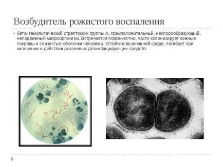 Tratamentul și cauzele eczeme microbiene