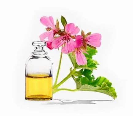 Tratamentul dermatitei atopice la copii remedii populare (26 poze) (atopică) Tratamentul dermatitei atopice la copii remedii populare (26 poze)