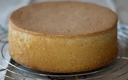 Retete tort burete acasă