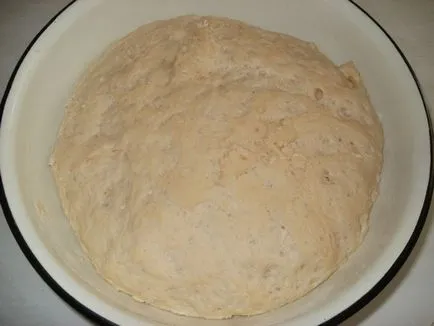 reteta Tat cum să pregătească belyashi de casă, delicioase cu carne tocată (Tat) reteta Tat cum să pregătească belyashi de casă, delicioase cu carne tocată