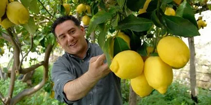 reteta limoncello Lichioruri la domiciliu, cum și cu ce să bea, prețul