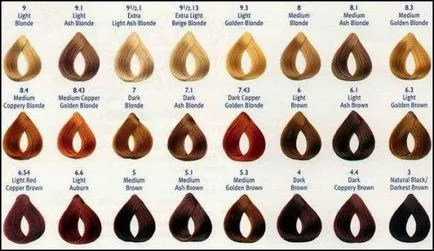 Loreal ekselans paleta, compoziție, instrucțiuni, fotografii, culoare, pret, comentarii, excelenta vopsea Loreal