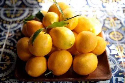lichior limoncello