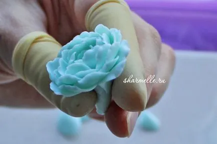 Molding din argilă polimerică