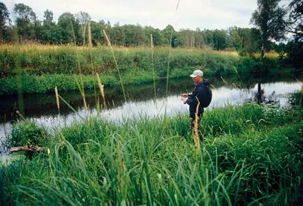 Pescuit de vară - sfaturi de pescuit (vara) Pescuit de vară - sfaturi pescari