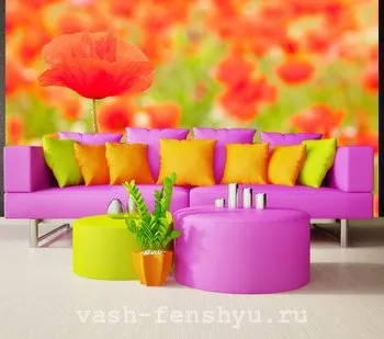 Maki de Feng Shui - impactul asupra vieții umane