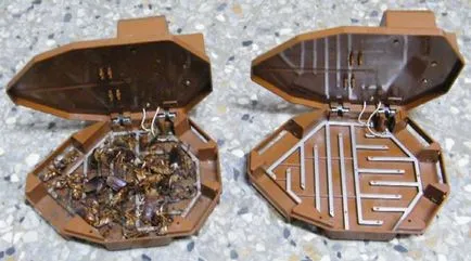 Capcana pentru gândaci - electrice și adeziv, cu propriile sale mâini, recenzii despre capcanele de gândaci (mâinile) Capcana pentru gândaci - electrice și adeziv, cu propriile sale mâini, recenzii despre capcanele de gândaci