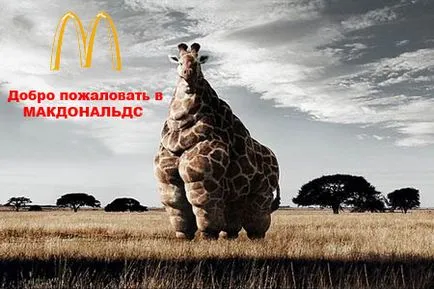 McDonald, mcdonald Netlore lui,, produse alimentare, catering, restaurante, fast-food McDonald