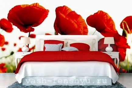 Maki de Feng Shui - impactul asupra vieții umane