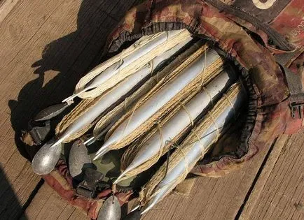 Prinderea Catfish Donk pe malul vară- cum să donk pentru prinderea somn (locul) Prinderea Donk Catfish pe malul vară- cum să donk pentru prinderea somn