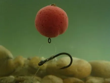 Prinderea crap rețete boilies, echipamente de pescuit