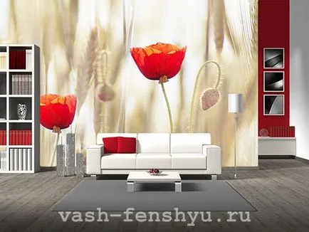 Maki de Feng Shui - impactul asupra vieții umane