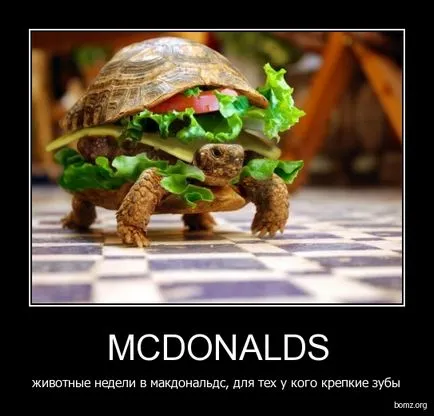 McDonald, mcdonald Netlore lui,, produse alimentare, catering, restaurante, fast-food McDonald