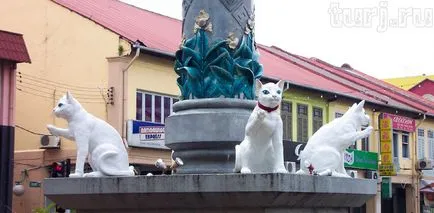 Malaezia, Borneo, Sarawak Muzeul și monumente pisici pisici pisici în Kuching (40 poze) (Borneo) Malaezia, Borneo, Sarawak Muzeul și monumente pisici pisici pisici în Kuching (40 poze)