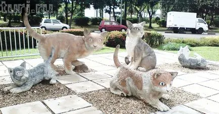 Malaezia, Borneo, Sarawak Muzeul și monumente pisici pisici pisici în Kuching (40 poze) (cat) Malaezia, Borneo, Sarawak Muzeul și monumente pisici pisici pisici în Kuching (40 poze)