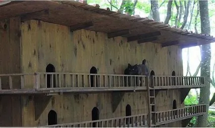 Un mic oraș construit doar pentru ... pisicile fără stăpân! (Orașul) Un mic oraș construit doar pentru ... pisicile fără stăpân!