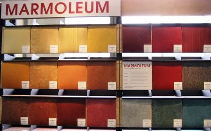 argumente pro și contra Marmoleum, caietul de sarcini, instalare, video, foto în interior