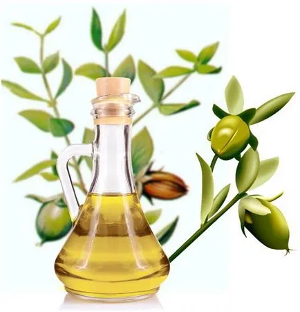 Uleiul de jojoba - proprietăți utile și aplicații pentru feței și a părului (utilizarea) Uleiul de jojoba - proprietăți utile și aplicații pentru față și părul