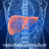 Metastaze hepatice simptome înainte de deces, simptome și tratament (metastaze) Metastaze la ficat simptomele înainte de moartea sa, simptome și tratament