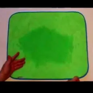 scutece pentru câini comentarii reutilizabili