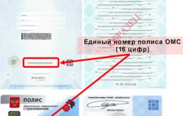 Documentele mele, documentele mele, cât de repede fac hârtiile