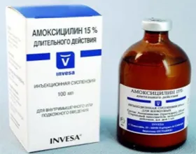 Este posibil pentru a da amoxicilina la pisici, pisica si pisica