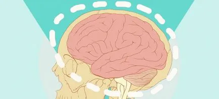 Brains, iubire, conștiință, fericire și inima