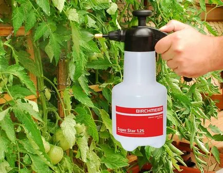 Midge pe tomate alb-negru cum să lupte pe răsaduri decât să stropească de muște, cum să scape (musculița de la tomate) Midge pe tomate alb-negru cum să lupte pe răsaduri decât să stropească de muște, cum să scape