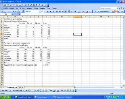 Scrierea unui program în VBA