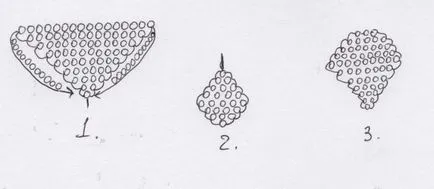 Diagrama Roses de margele