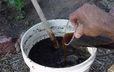 Făină de pește ca un set de instrucțiuni de fertilizare