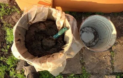 Făină de pește ca un set de instrucțiuni de fertilizare
