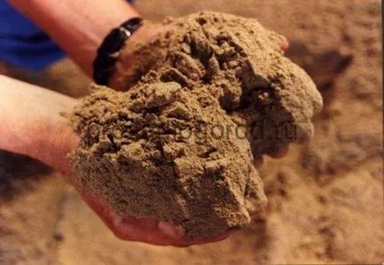 făină de pește ca îngrășământ în cererea de grădină, fotografie și video