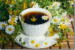 Infuzia de plante, plante medicinale