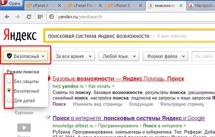 Setarea motorului de căutare Yandex