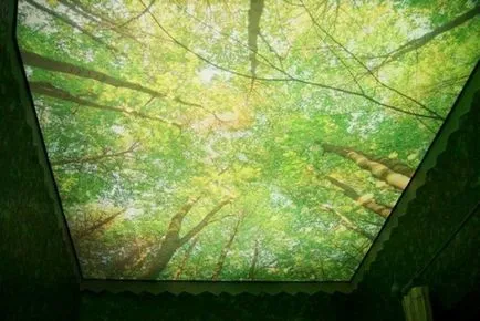 Plafoane suspendate în hol, fotografii de tavane suspendate în hală (întindere) Plafoane suspendate în hol, fotografii de tavane suspendate în sala