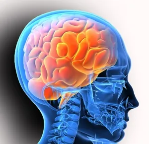 Neurologie ce este, care vindeca si ce neurologul