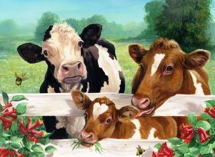 vaca Fancy - Fair Masters - manual, lucrate manual
